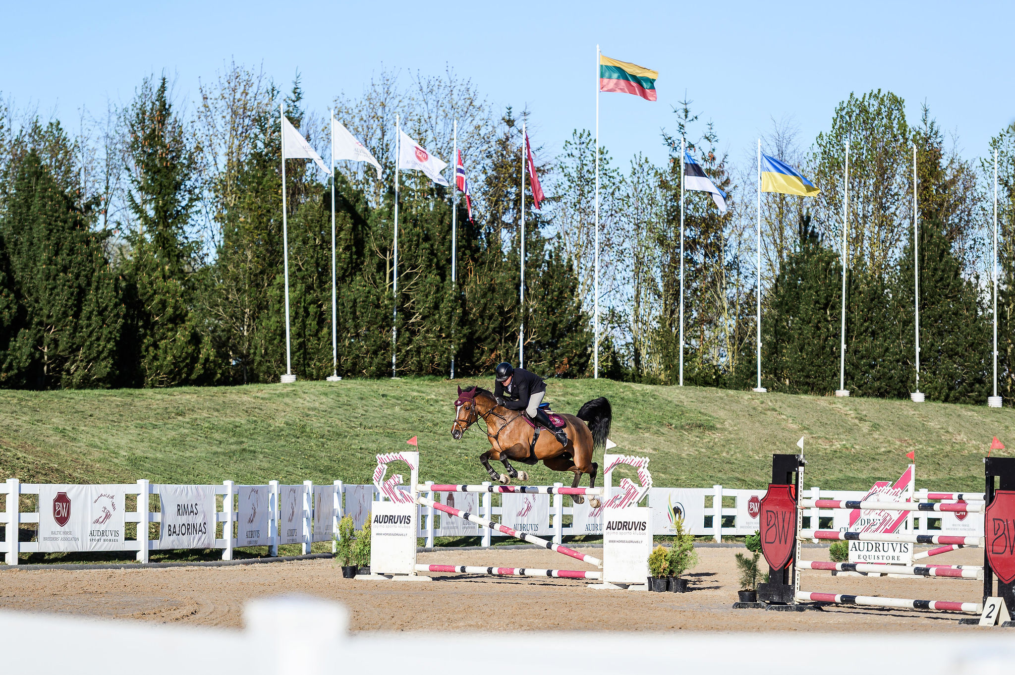 Audruvis Sport Horses, Audruvis Equistore, Audruvis Champions Tour